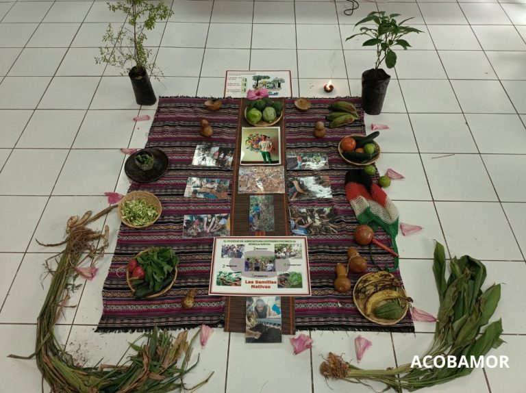 482020782_938565018482926_1773453779131829583_n