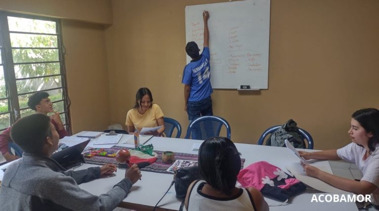 Promotores comunitarios